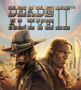 Dead or Alive 2 Slot